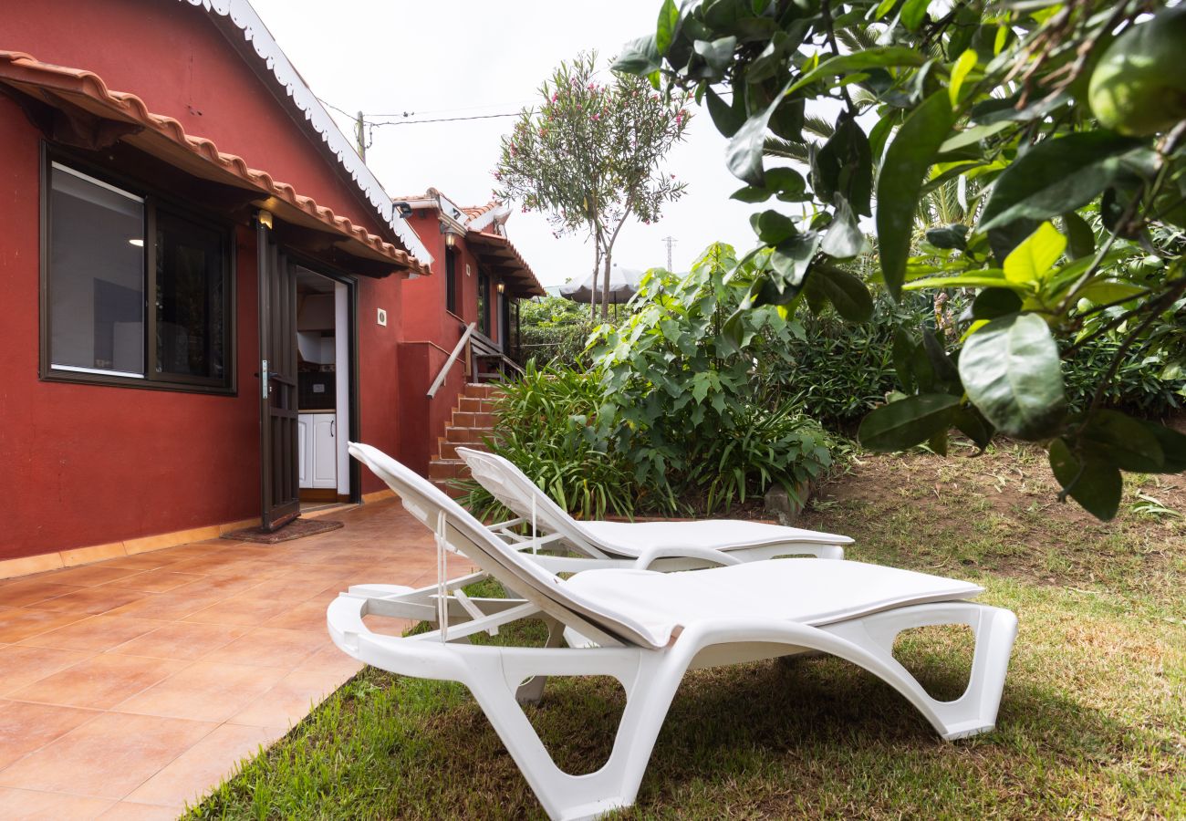 Apartamento en Los Realejos - Home2Book Serene Retreat Isabel, Jacuzzi & Garden