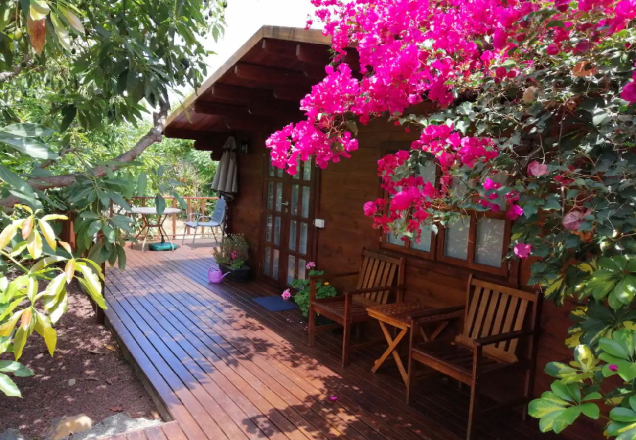 Estudio en La Orotava - Home2Book Cozy Cottage Bougainville, Peace Retreat