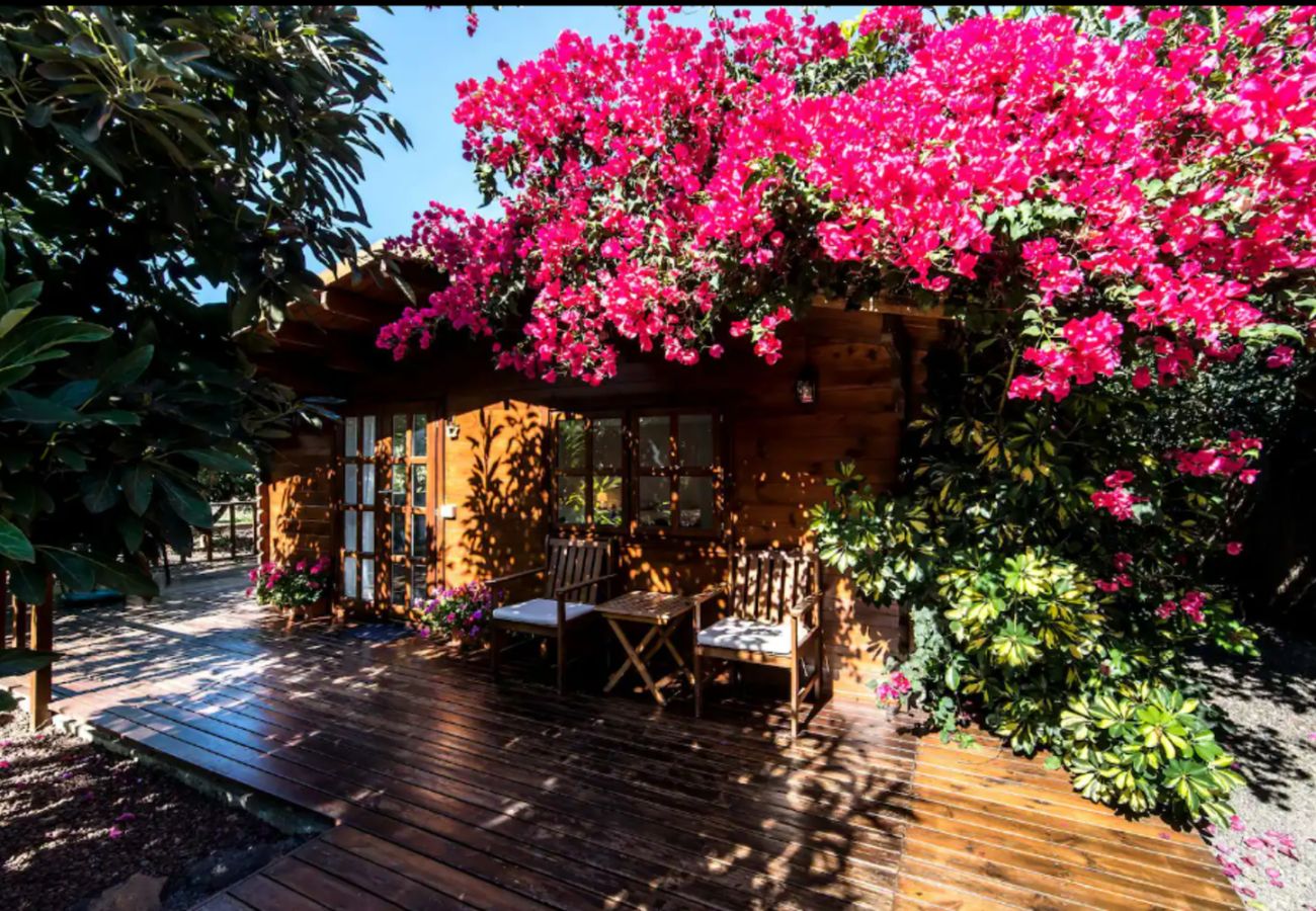 Estudio en La Orotava - Home2Book Cozy Cottage Bougainville, Peace Retreat