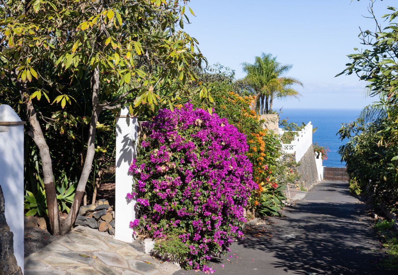 Estudio en La Orotava - Home2Book Comfy Cottage Hibiscus, Peace Retreat