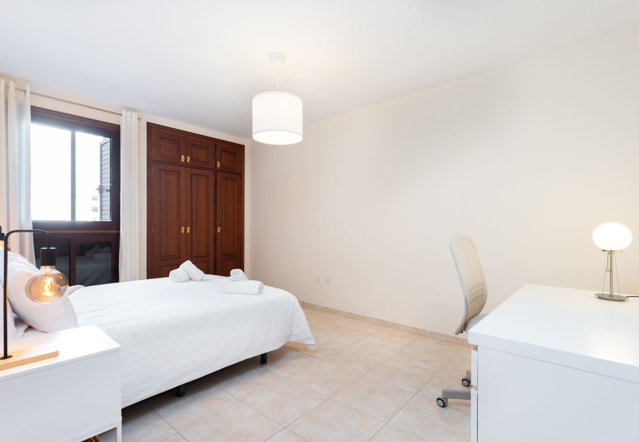 Apartment in Santa Cruz de Tenerife - Home2Book Design & Luminous Apt Santa Cruz Center