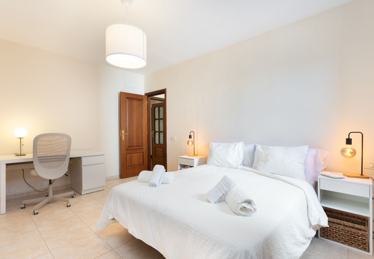 Apartment in Santa Cruz de Tenerife - Home2Book Design & Luminous Apt Santa Cruz Center