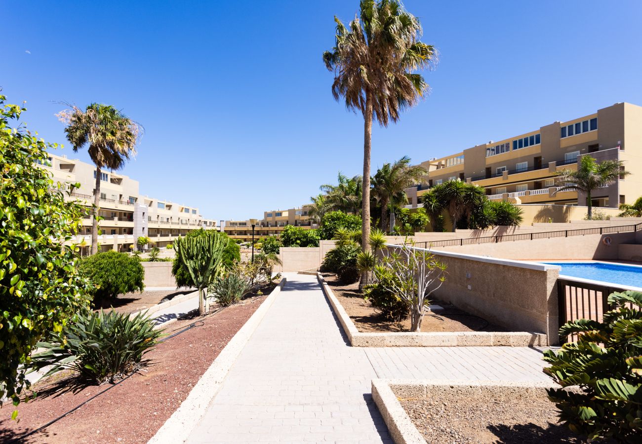 Apartment in El Medano - Home2Book Cozy & Bright El Médano, Pool & Terrace