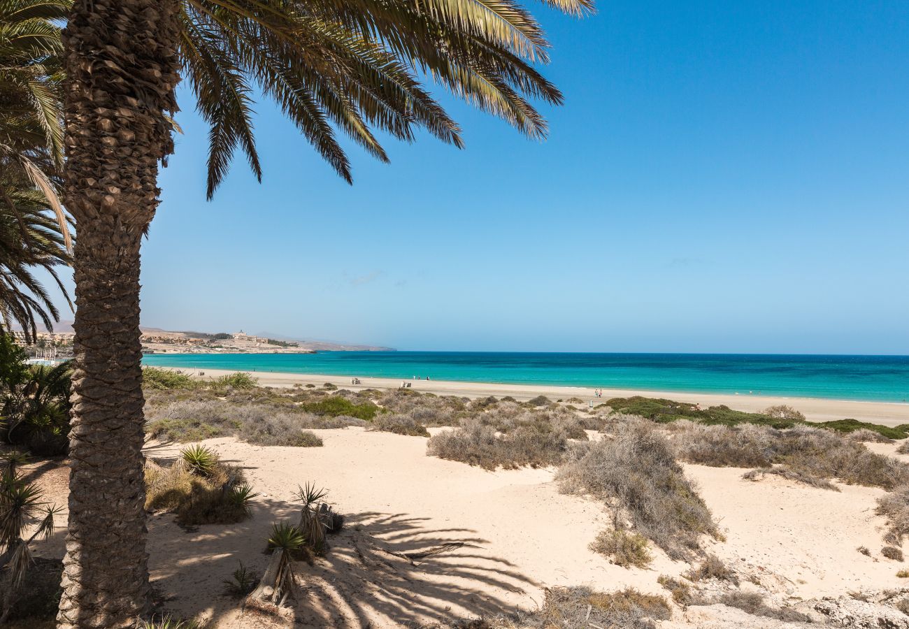 Apartment in El Cotillo - Home2Book Blue Sea Apt 2 min From The Beach