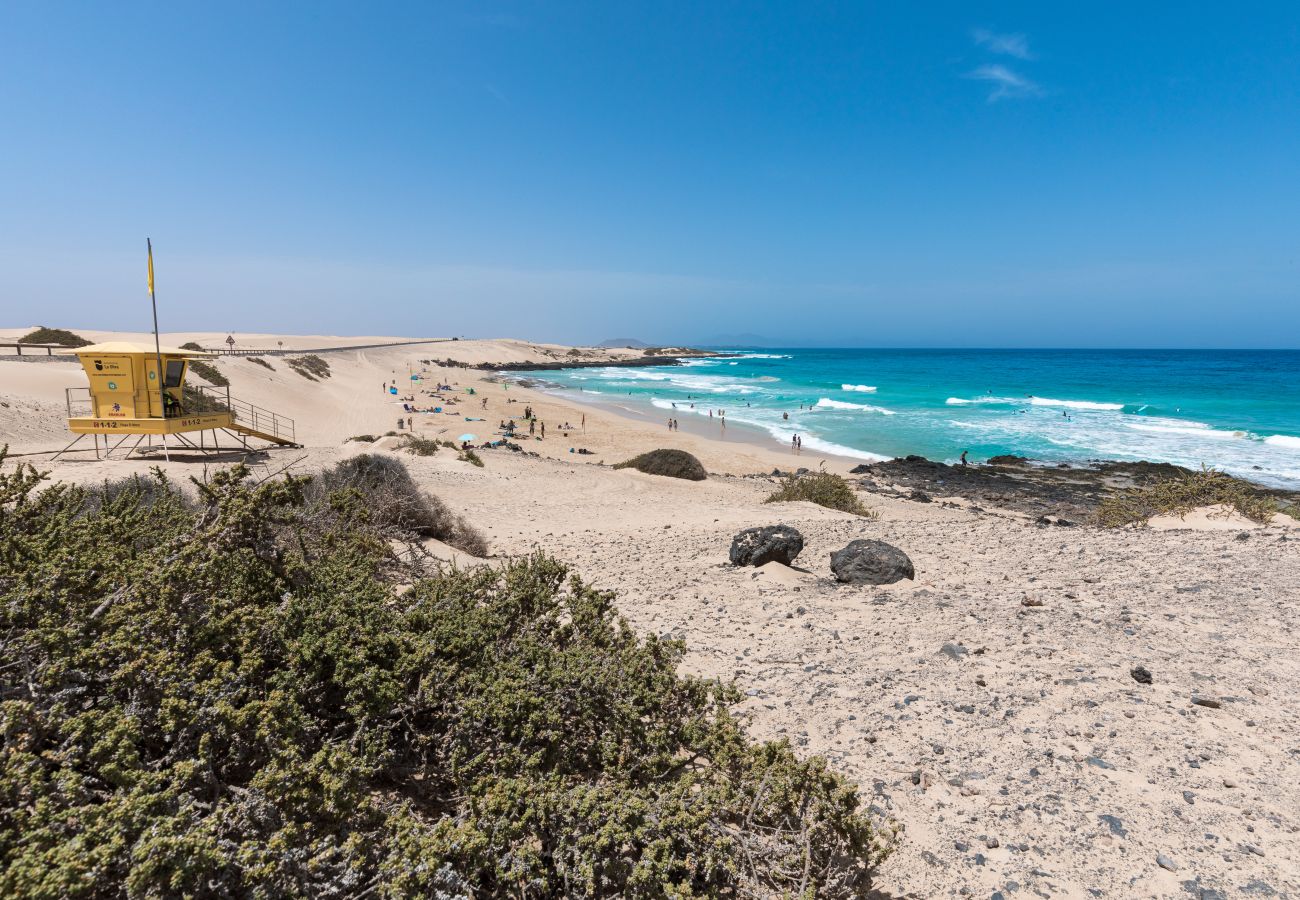 Apartment in La Oliva - Home2Book Modern Stay at Oasis Duna, Corralejo