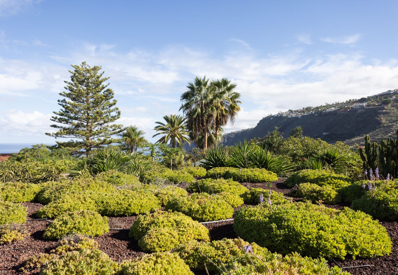 Studio in La Orotava - Home2Book Modern Cottage Strelitzia, Peace Retreat